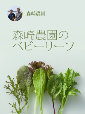 森崎農園のベビーリーフ
