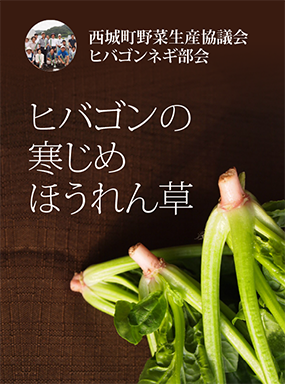 ヒバゴンの寒じめほうれんそう