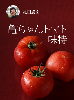 亀ちゃんトマト　味特