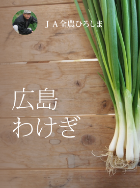 広島わけぎ