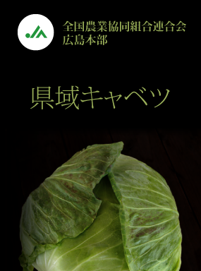 県域キャベツ