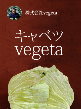 キャベツ  vegeta　