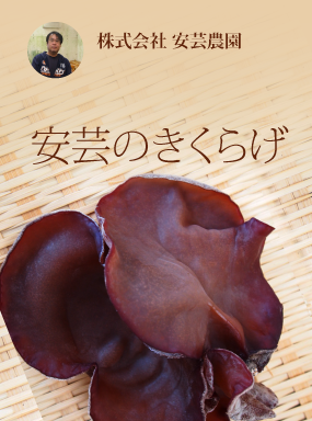 安芸のきくらげ