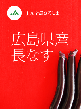 広島県産長なす 
