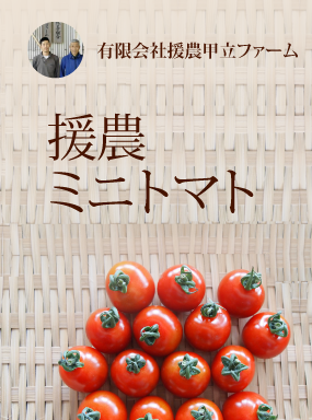 援農ミニトマト