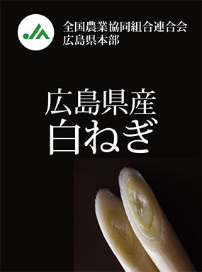 広島県産白ねぎ