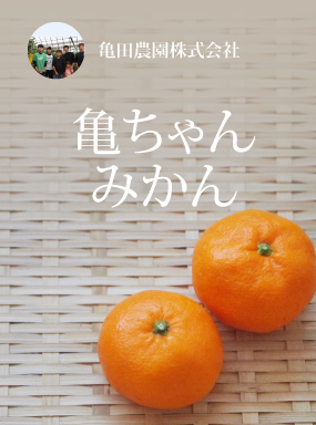 亀ちゃんみかん