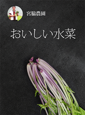 おいしい水菜