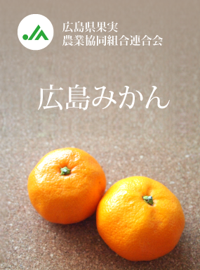 広島みかん