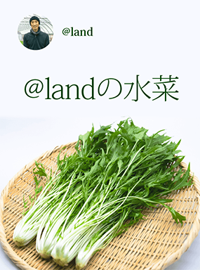水菜 @land