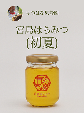 はつはな果蜂園の宮島はちみつ (初夏)