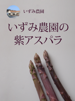 いずみ農園の紫アスパラ