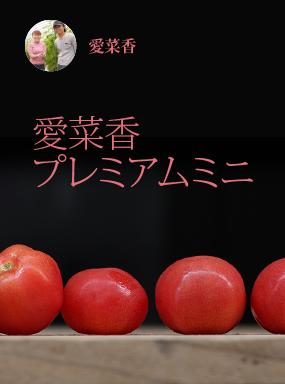 愛菜香プレミアムミニ