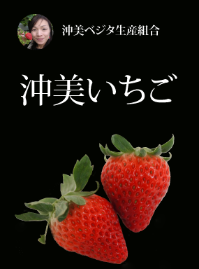 沖美いちご