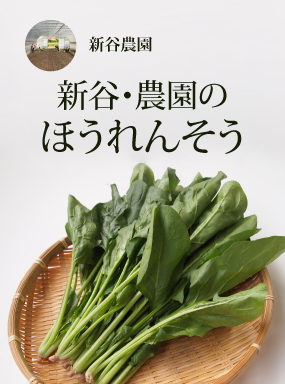 新谷・農園のほうれんそう