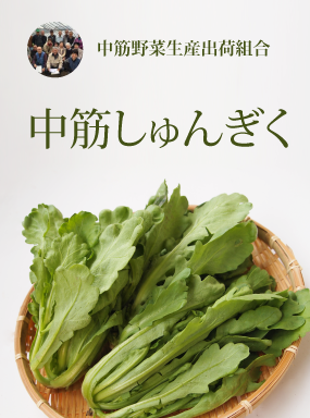 中筋しゅんぎく