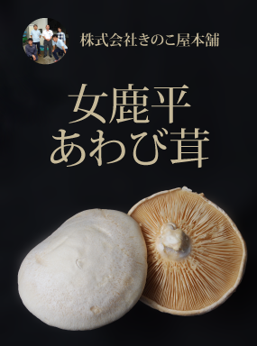 女鹿平　あわび茸