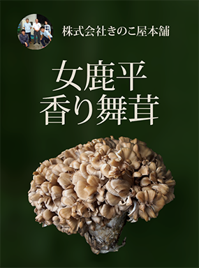 女鹿平　香り舞茸