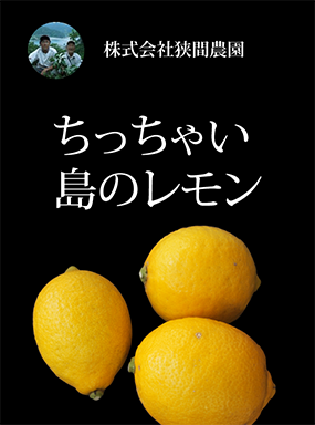 ちっちゃい島のレモン