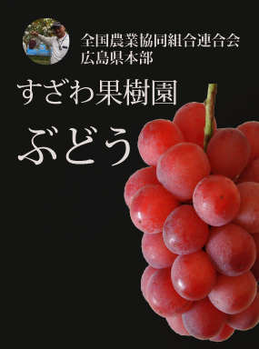 すざわ果樹園　ぶどう