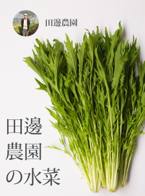 田邊農園の水菜