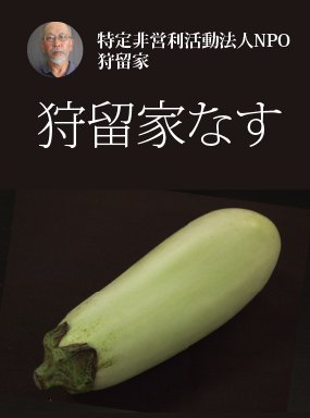 狩留家　なす