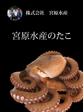 宮原水産のたこ