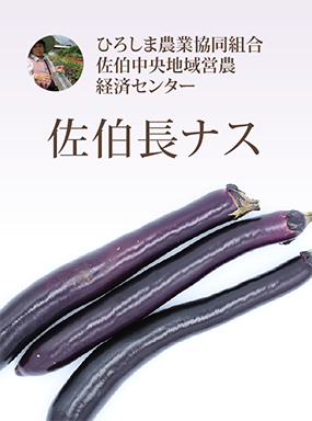 佐伯長ナス