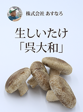 生しいたけ「呉大和」