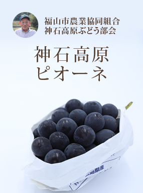 神石高原ピオーネ