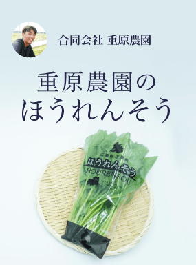重原農園のほうれんそう