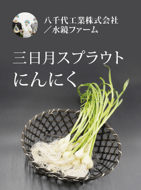 三日月スプラウトにんにく