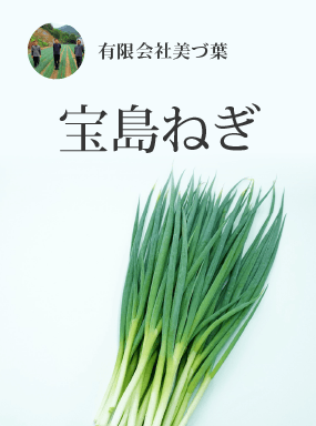 宝島ねぎ