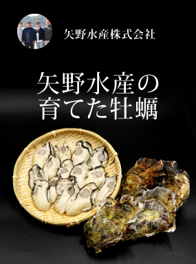 矢野水産の育てた牡蠣