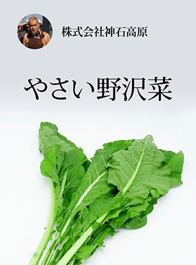 やさい野沢菜
