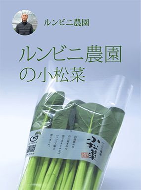 ルンビニ農園の小松菜