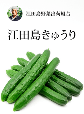 江田島きゅうり