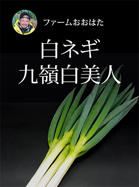 白ネギ　九嶺白美人