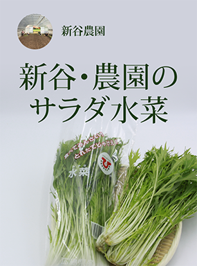 新谷・農園のサラダ水菜