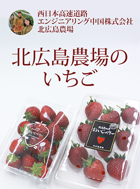 北広島農場のいちご