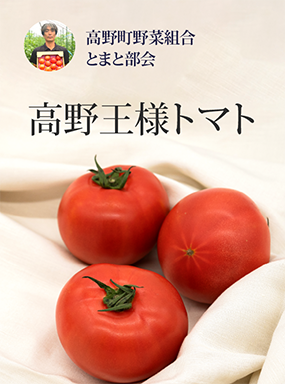 高野王様トマト