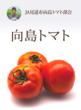 向島トマト