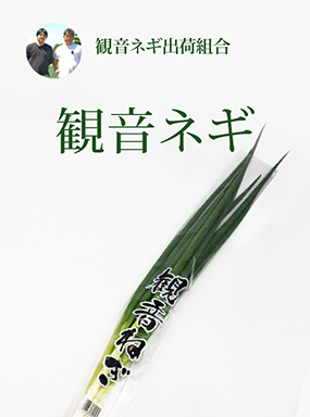 観音ネギ