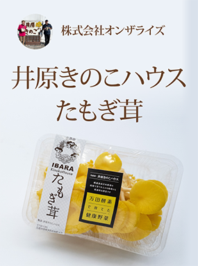井原きのこハウス　たもぎ茸