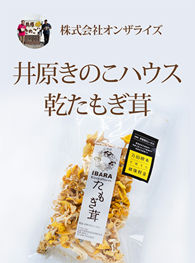 井原きのこハウス　乾たもぎ茸
