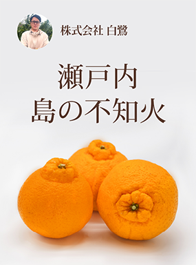 瀬戸内　島の不知火