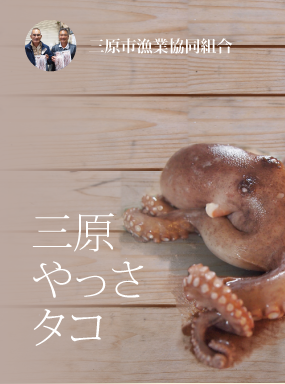 三原やっさタコ