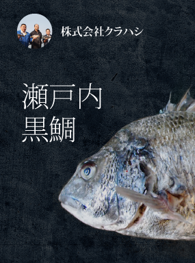 瀬戸内　黒鯛