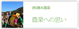 株式会社藤本農園