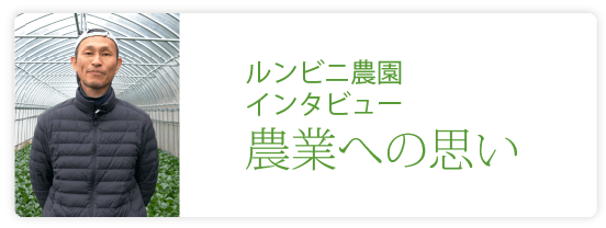 ルンビニ農園